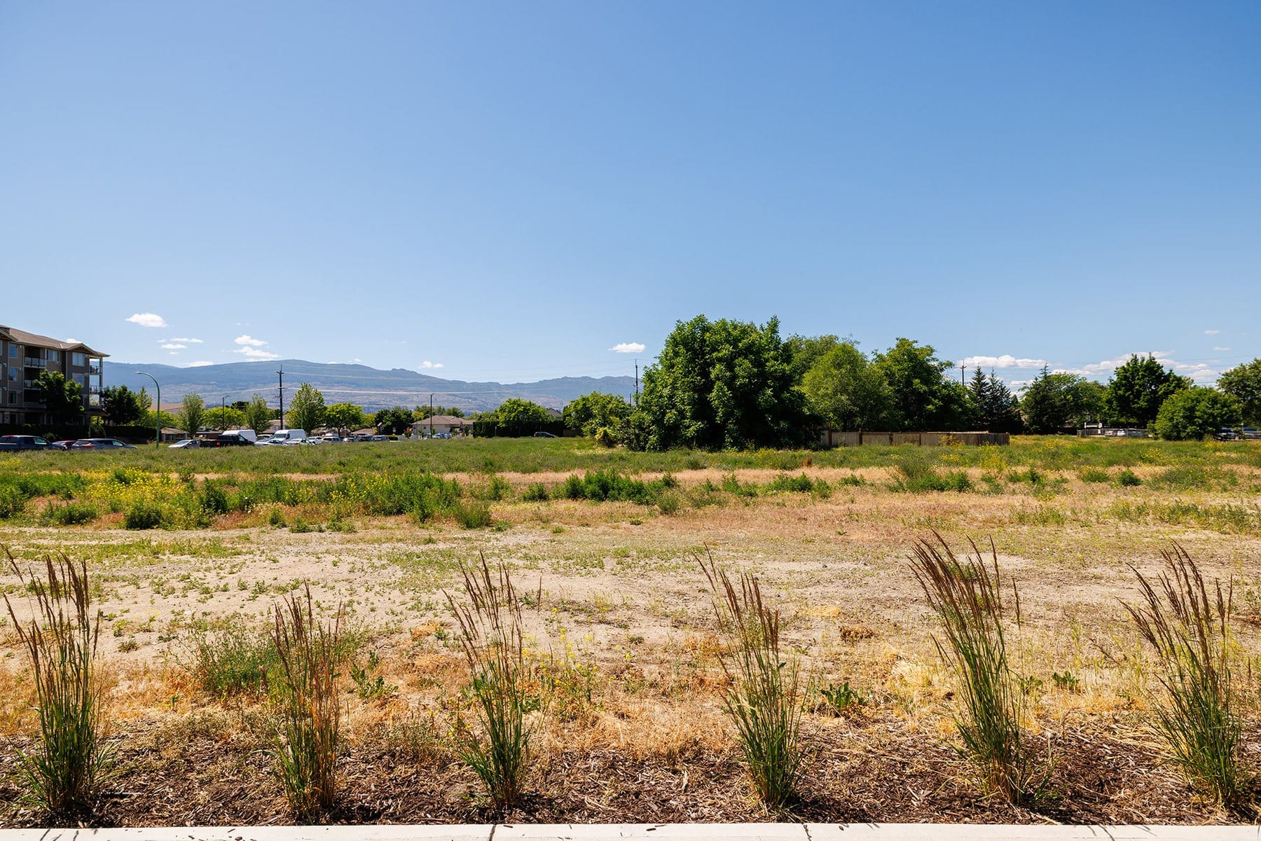 The field and the mountains in front of the townhomes