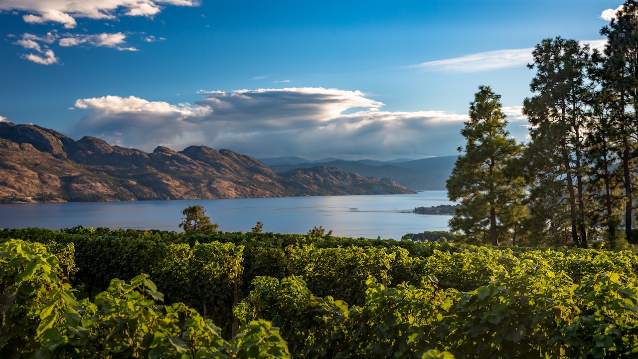 The Best Neighbourhoods in Kelowna: A Local Agent's Honest Guide for 2026